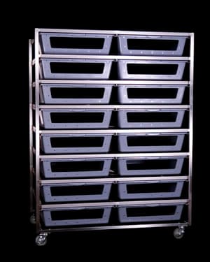 carpet python rack system